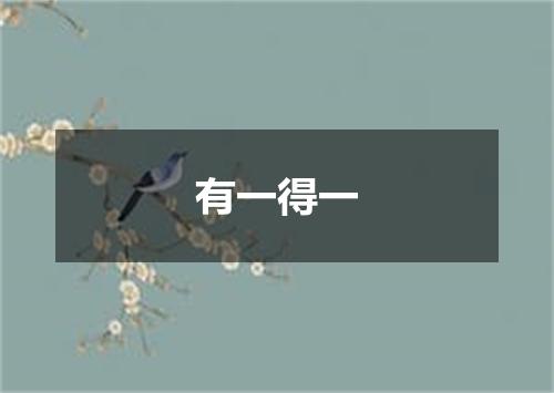 有一得一