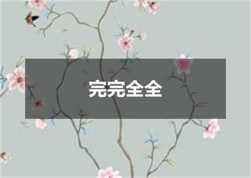 完完全全