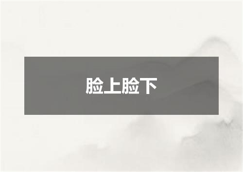 脸上脸下