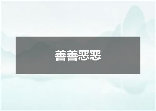 善善恶恶