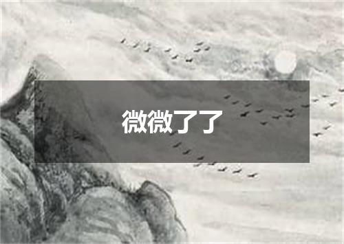 微微了了