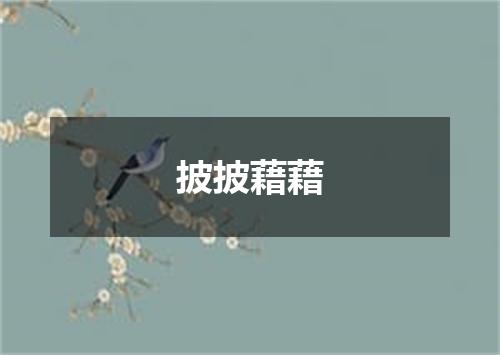 披披藉藉