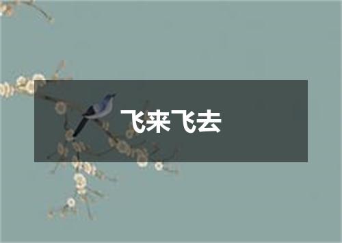 飞来飞去