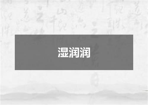 湿润润