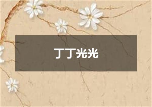 丁丁光光