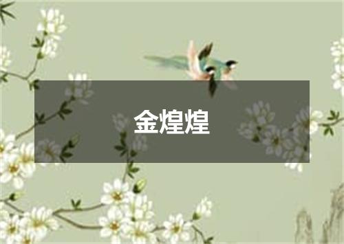 金煌煌