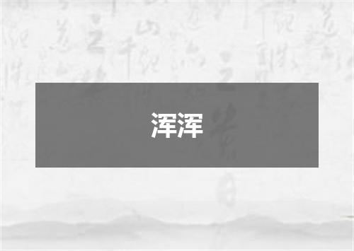 浑浑