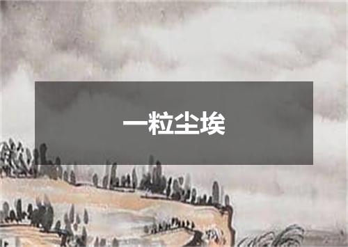一粒尘埃