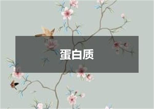 蛋白质