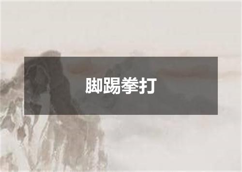 脚踢拳打
