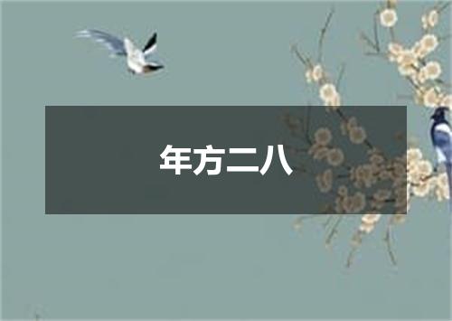 年方二八