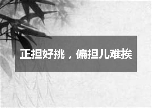 正担好挑，偏担儿难挨