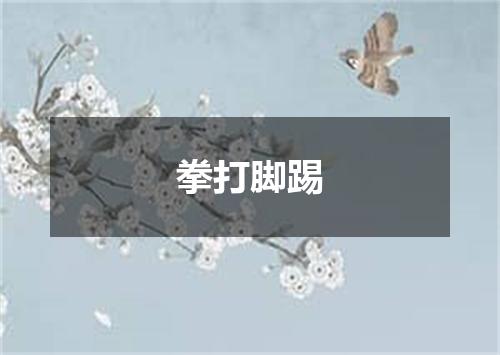 拳打脚踢