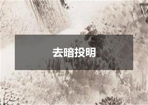 去暗投明
