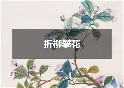 折柳攀花