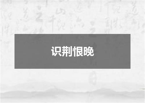 识荆恨晚