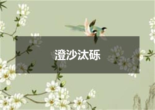 澄沙汰砾
