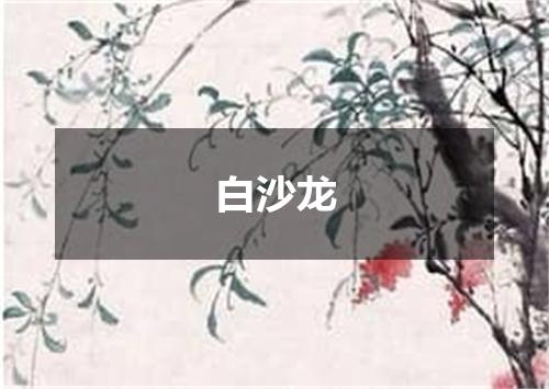 白沙龙