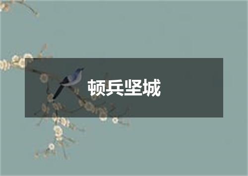 顿兵坚城