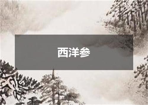 西洋参