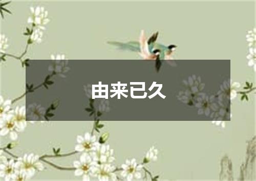 由来已久