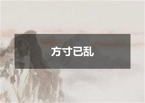 方寸已乱
