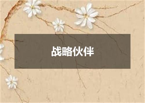 战略伙伴