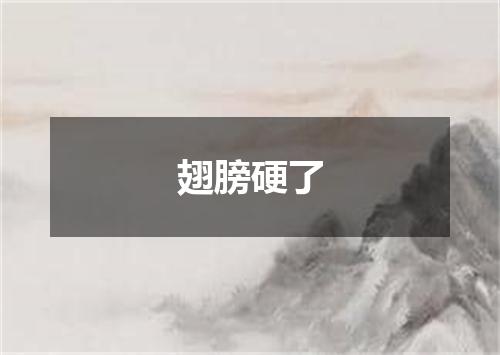 翅膀硬了