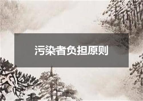 污染者负担原则