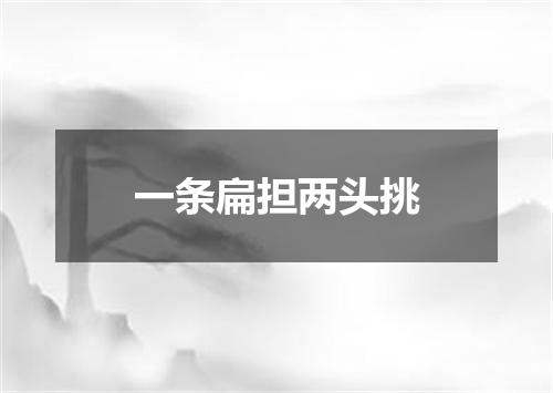 一条扁担两头挑