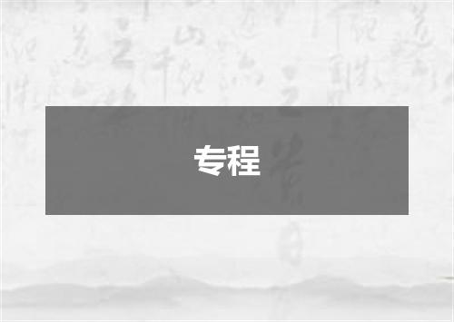 专程