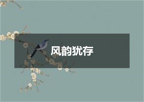 风韵犹存