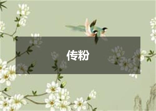 传粉