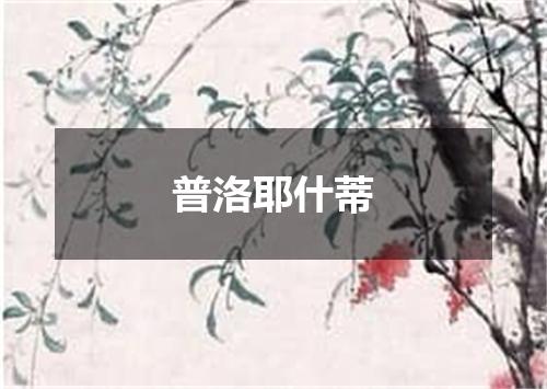 普洛耶什蒂