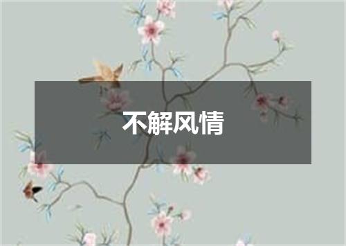 不解风情