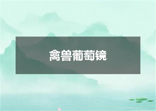 禽兽葡萄镜
