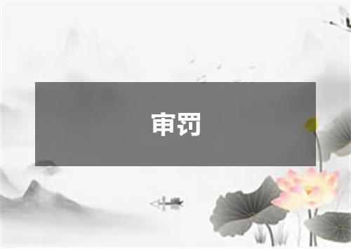 审罚