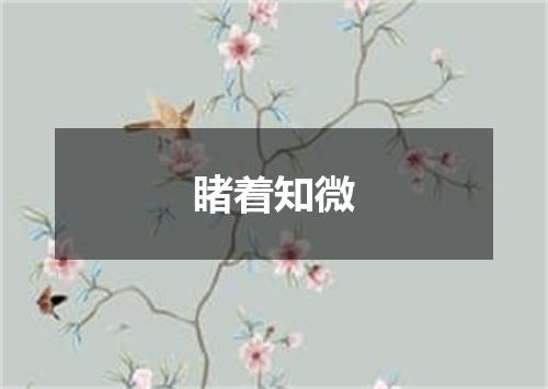 睹着知微