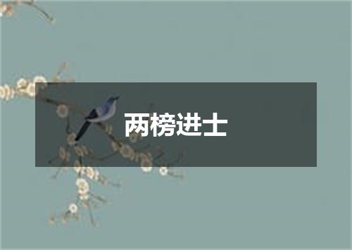两榜进士