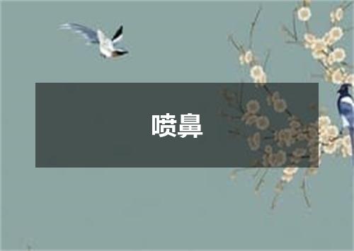 喷鼻