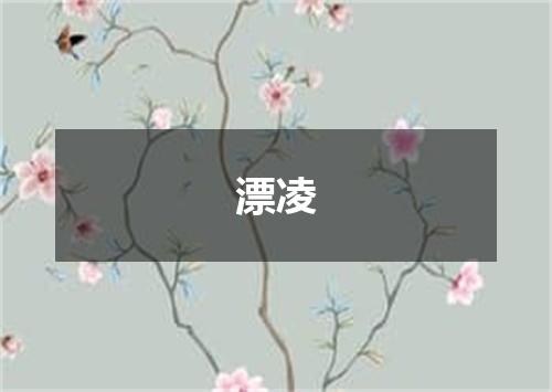 漂凌