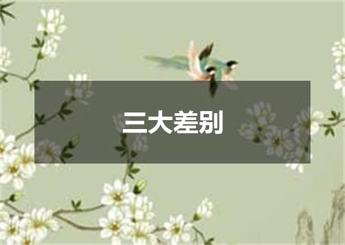 三大差别