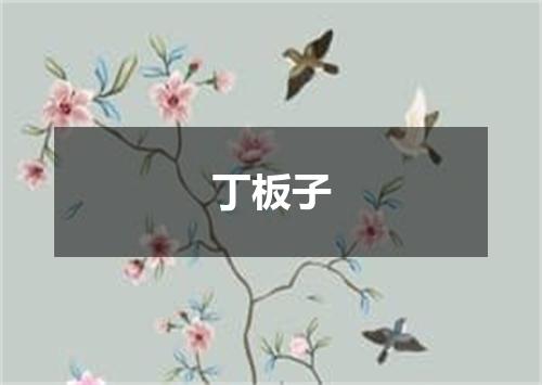 丁板子