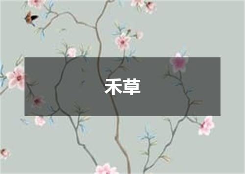 禾草