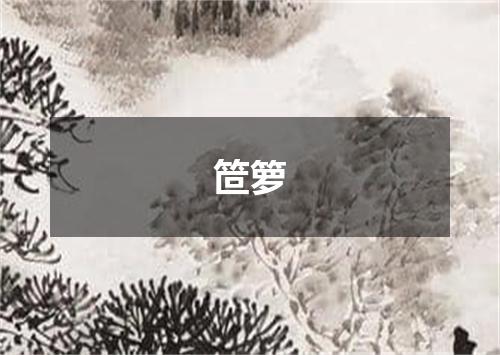 笸箩