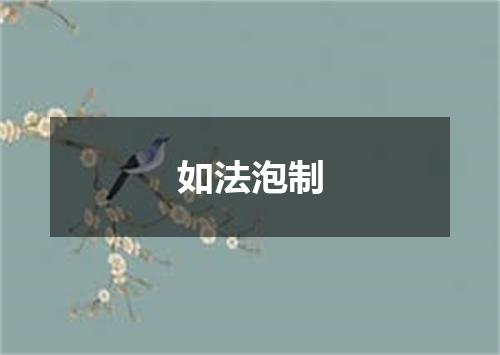 如法泡制