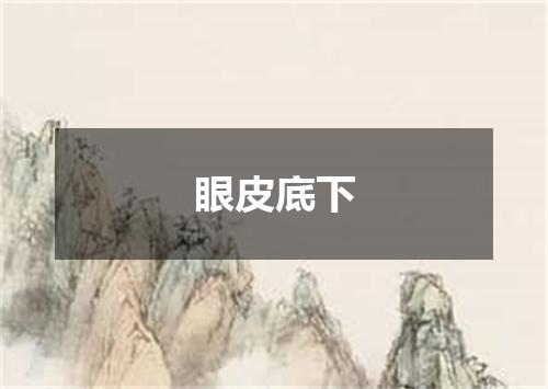 眼皮底下
