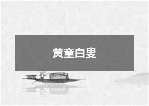黄童白叟