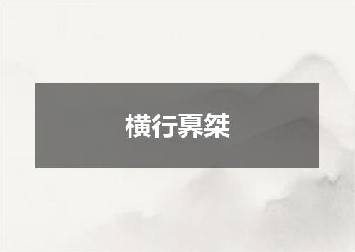 横行奡桀
