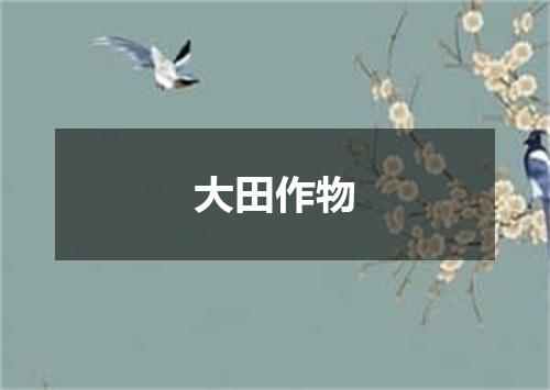 大田作物